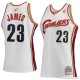 Men's Cleveland Cavaliers LeBron James Mitchell & Ness White Hardwood Classics Rookie Authentic Jersey -   2601088
