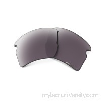  Flak 2.0 XL PRIZM Replacement Lenses in PRIZM DAILY POLARIZED |   101-108-001