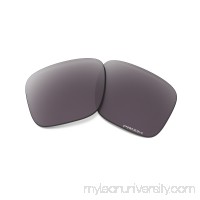 Holbrook PRIZM Daily Polarized Replacement Lenses | 101-129-001