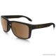  Holbrook PRIZM Polarized (Asia Fit) in Matte Tortoise |   OO9244-2656